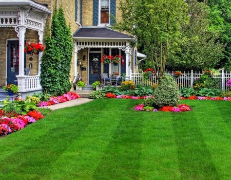 How Regular Lawn Maintenance Saves You Thousands in the Long Run Thumbnail