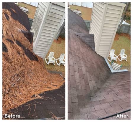 Roof cleaning